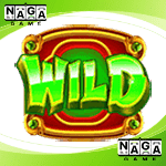 Symbol Wild