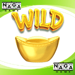 Symbol Wild