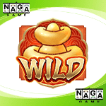Symbol Wild