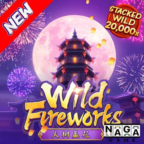 WILD-FIREWORKS-ปกนอก