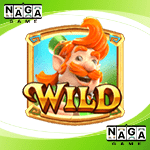Symbol-Wild