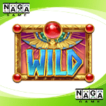 Symbol-Wild