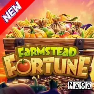 Farmstead Fortune ปกนอก